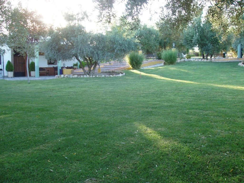 Cortijo Los Llanos Luque Extérieur photo