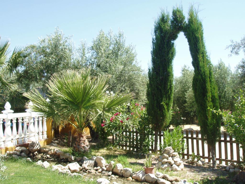 Cortijo Los Llanos Luque Extérieur photo