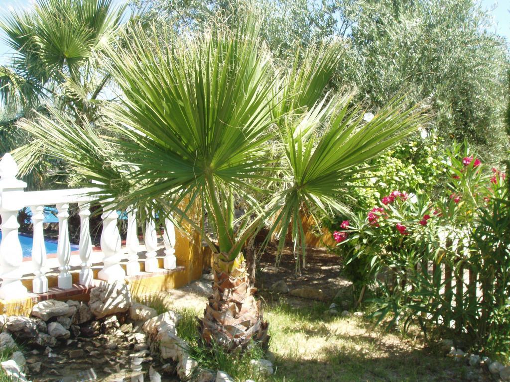 Cortijo Los Llanos Luque Extérieur photo