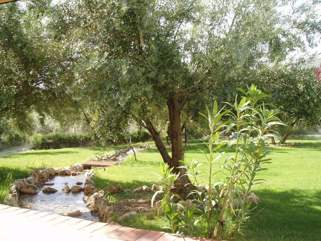 Cortijo Los Llanos Luque Extérieur photo